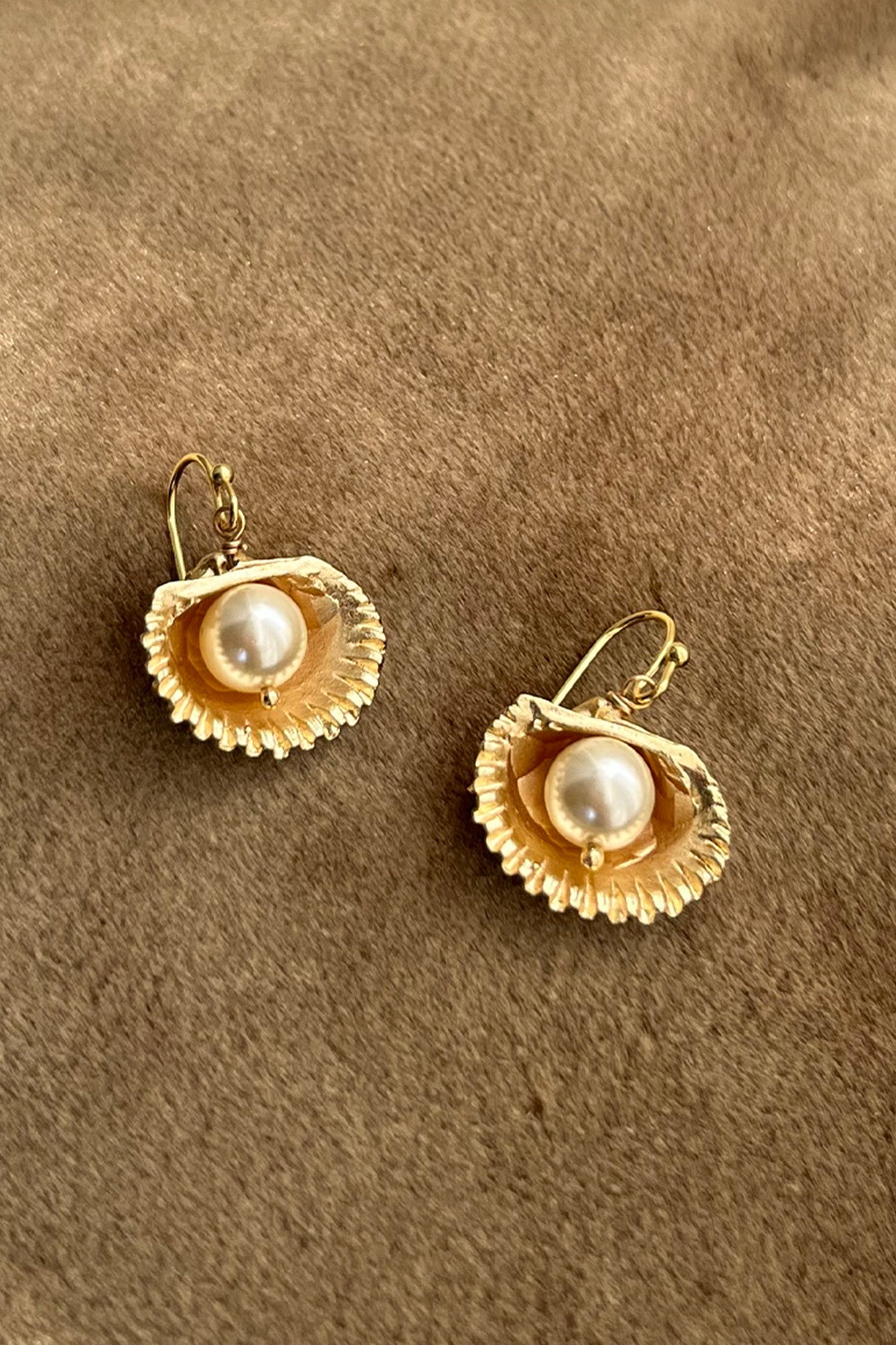 Golden shell pearl earrings