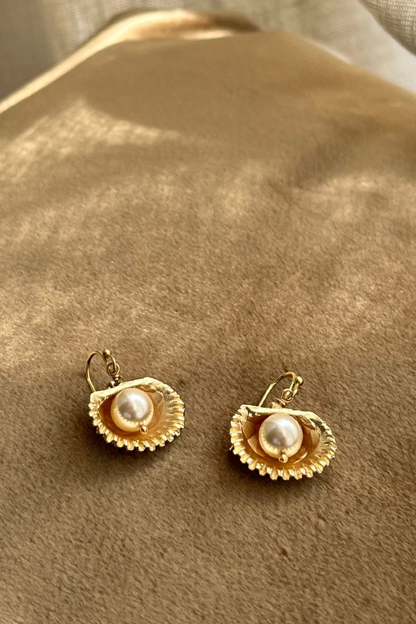 Golden shell pearl earrings